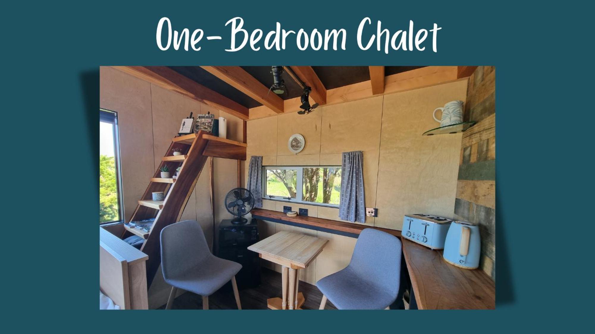 Swiss-Kiwi Cottage And Retreat, B&B 陶朗加 外观 照片