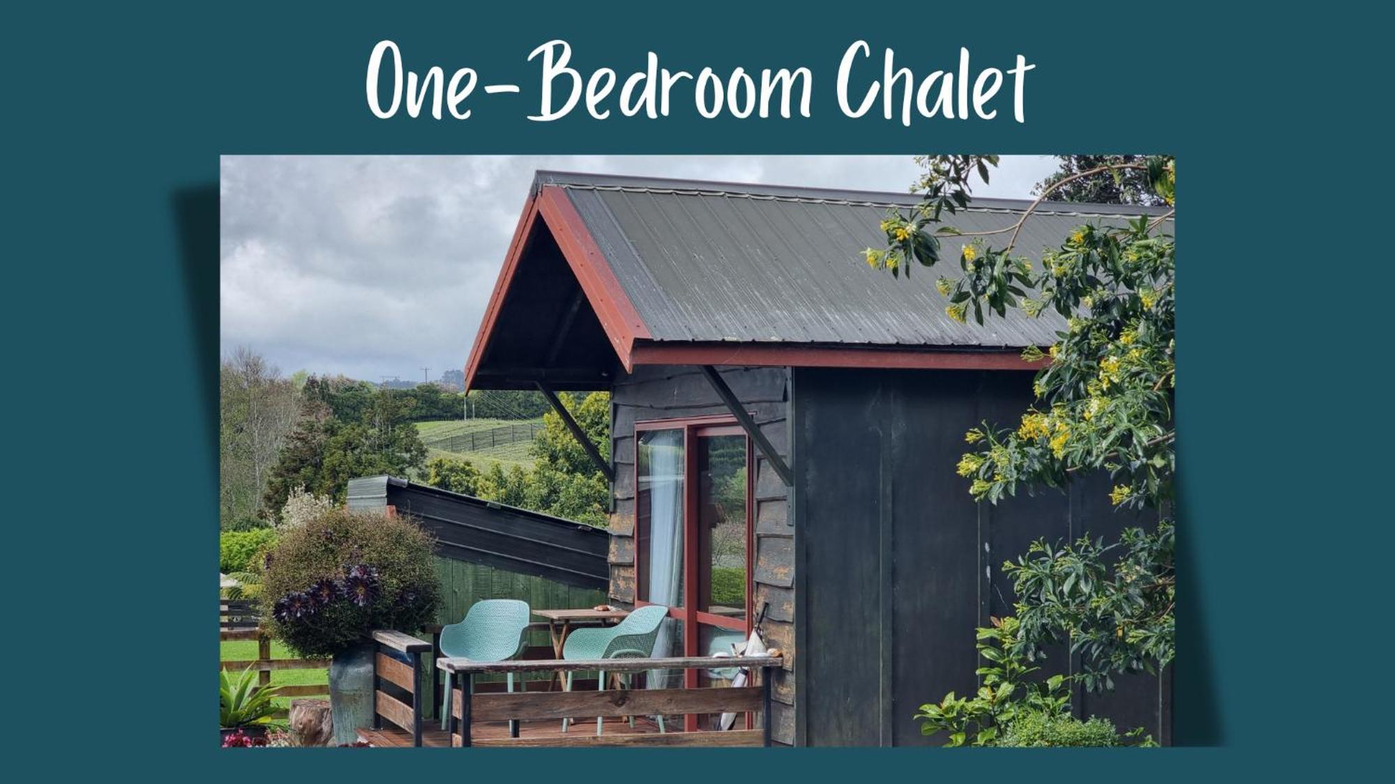 Swiss-Kiwi Cottage And Retreat, B&B 陶朗加 外观 照片